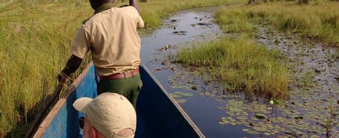 Sustainable Adventures Await Explore Uganda with Eco-Friendly Tours