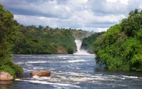 Why you need to do a Uganda Safari