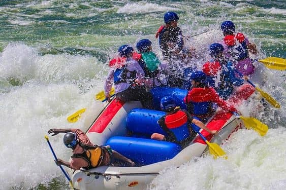 Why you need to do a Uganda Safari