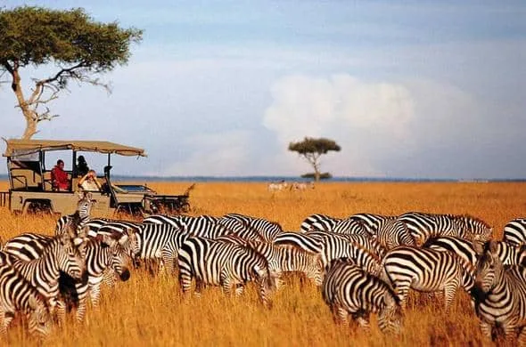 Best Safari Destinations Best Safari Destinations. 6 Days Kenya safari