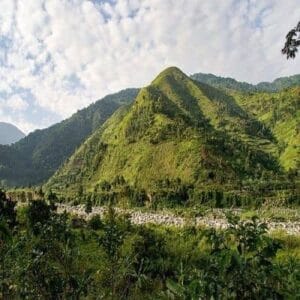 Best time to go to Uganda to see gorillas