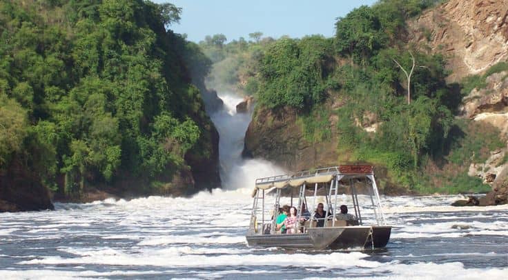 Uganda Safari Tours