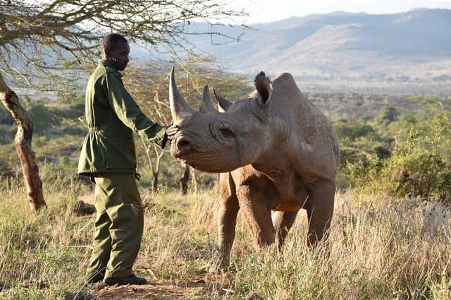Meet the Big Five: Where to Spot Them in Uganda