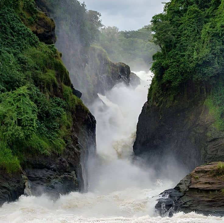 why Murchison Falls is Uganda’s most photogenic park