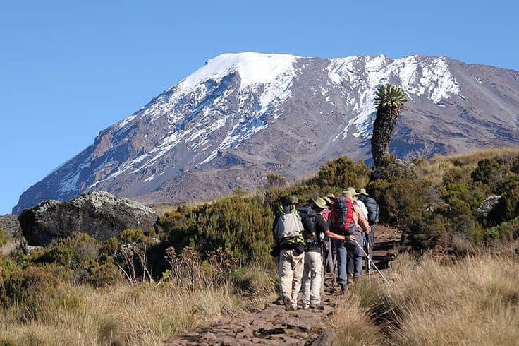 IMG-20250625-WA0056 Gorilla Trekking vs Mountain Hiking: Key Differences