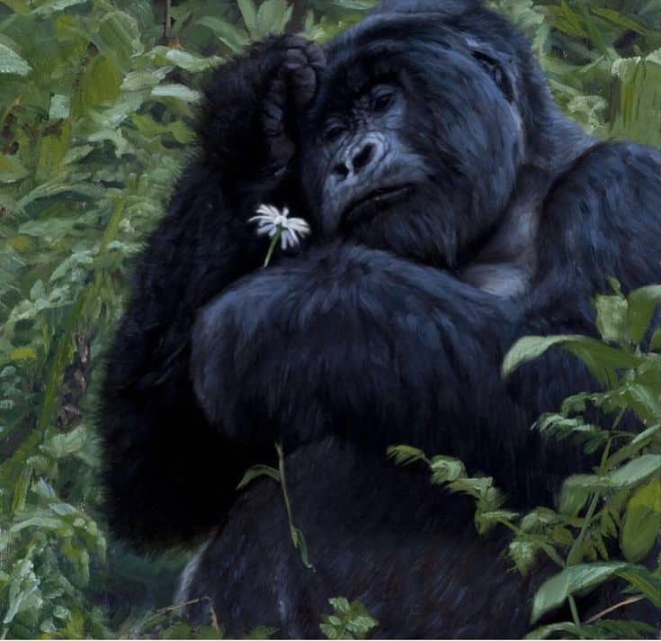 IMG-20250627-WA0035 Self-Drive Gorilla Trekking in Uganda: What to Expect
