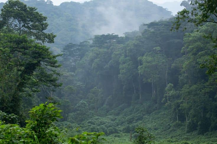 IMG-20250708-WA0100 how climate change is affecting Uganda’s national parks