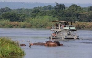  Uganda wildlife safaris low cost