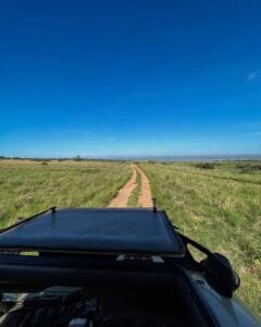 Murchison Falls budget safari