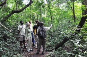 Murchison Falls budget safari