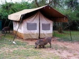 best budget lodges in Uganda