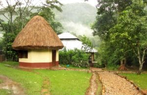 best budget lodges in Uganda