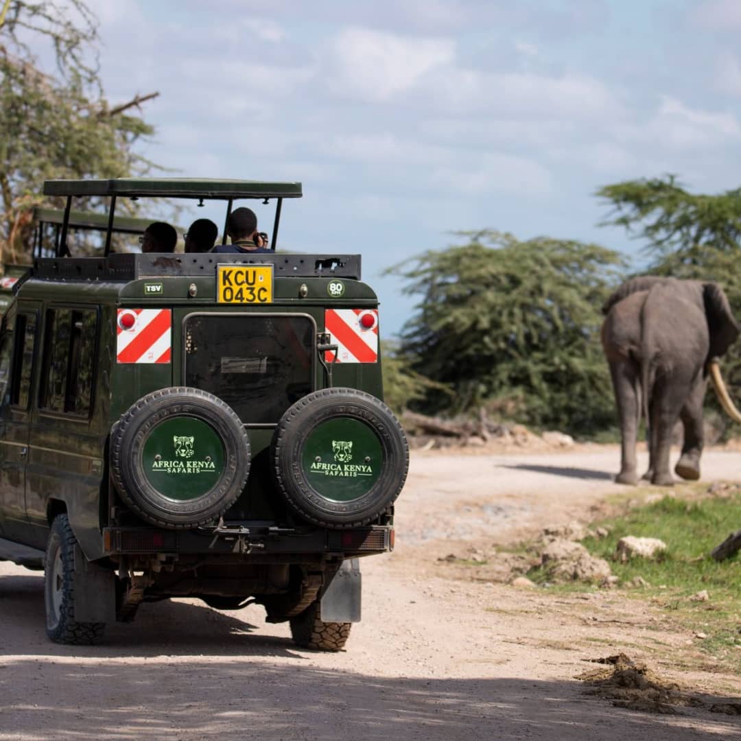 IMG-20250716-WA0047 budget safari Kenya