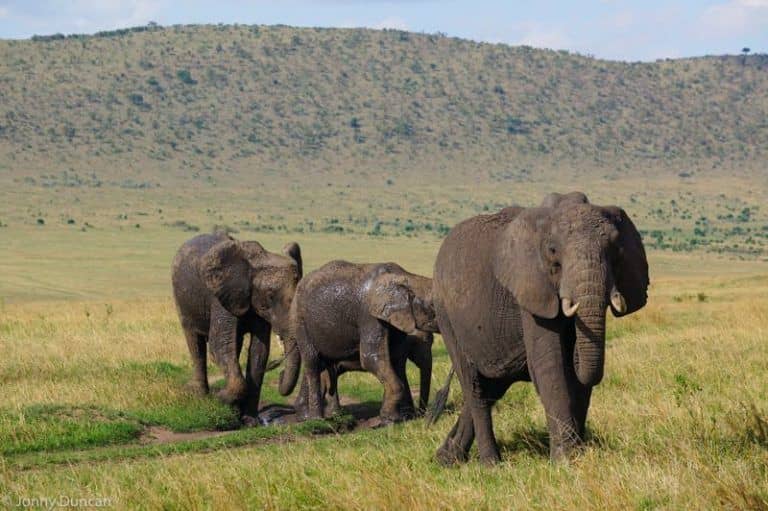 Kenya backpacker safari