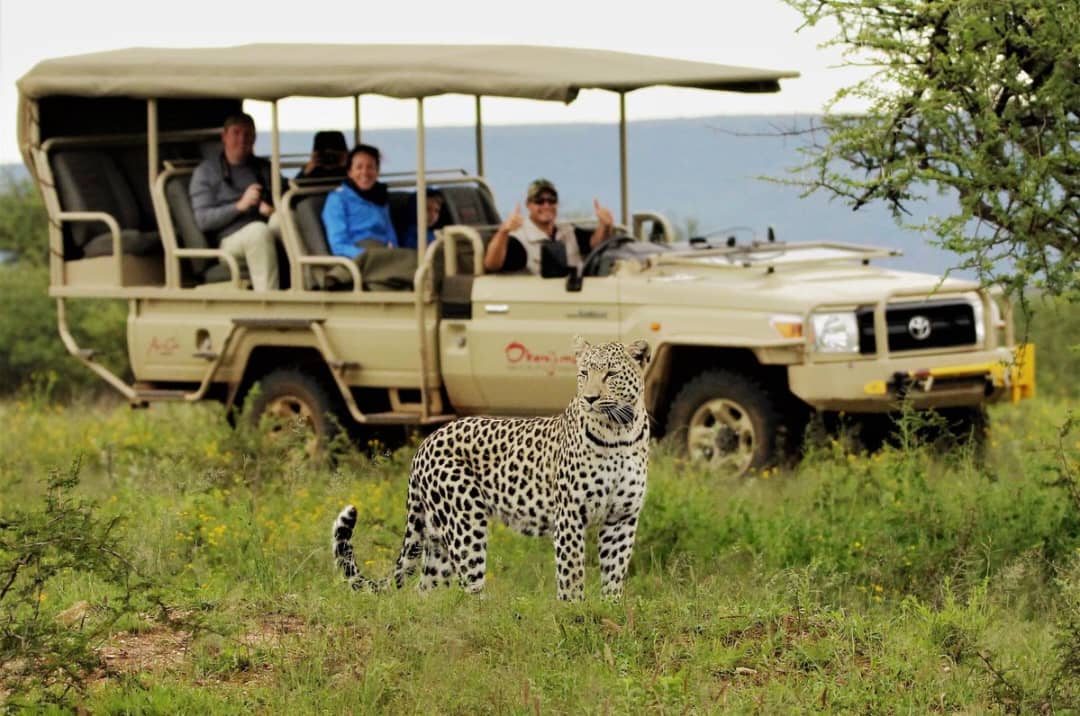IMG-20250721-WA0089 budget safari packages Kenya