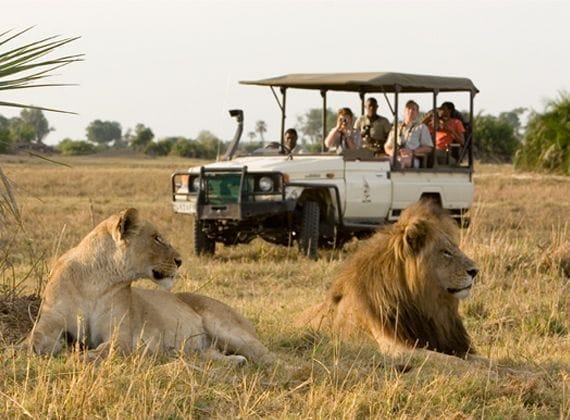 IMG-20250723-WA0120 Kenya safari budget itinerary