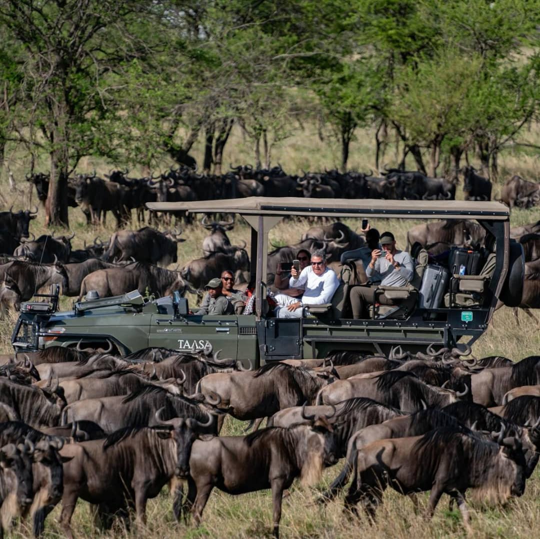 IMG-20250725-WA0032 Tanzania safari deals