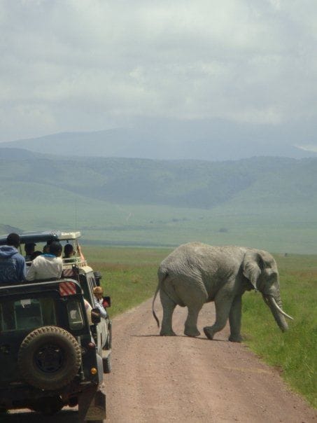 IMG-20250725-WA0035 Ngorongoro Crater budget safari