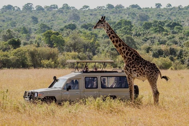 IMG-20250725-WA0041 Arusha budget safari tours