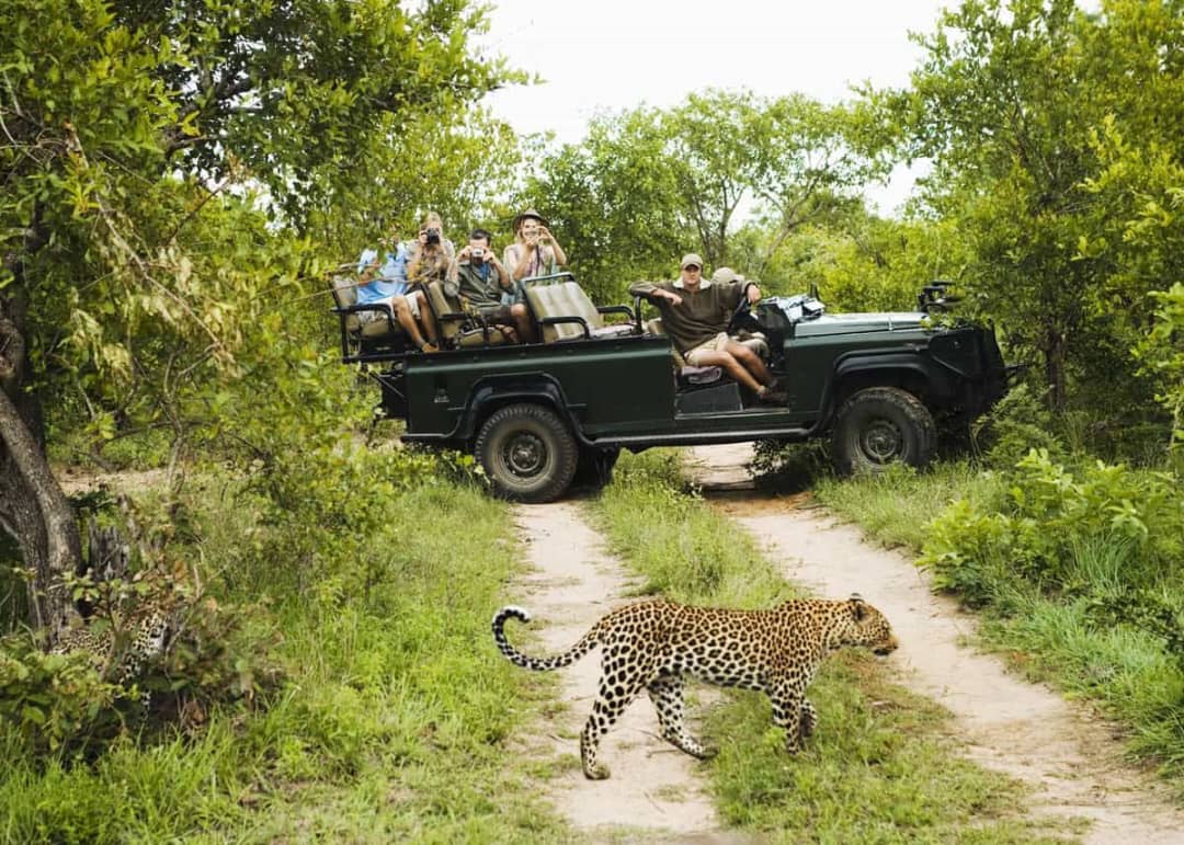 Tanzania backpacker safari