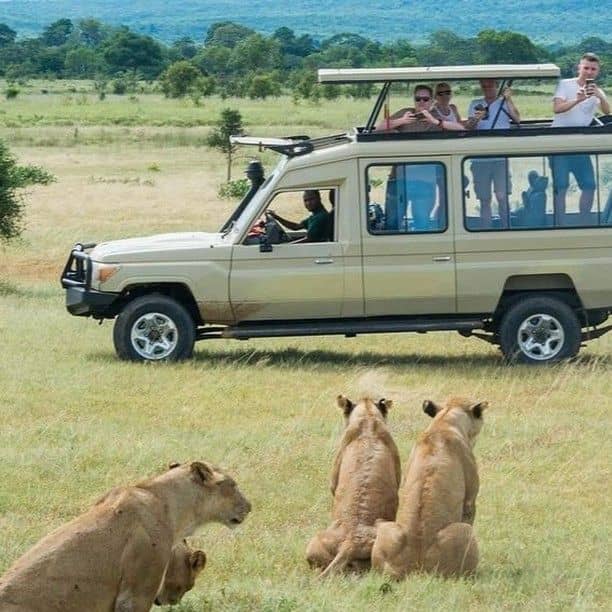 IMG-20250728-WA0054 budget tour operators Tanzania