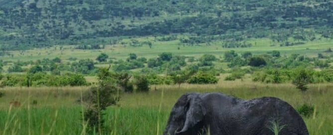 backpacker safari East Africa