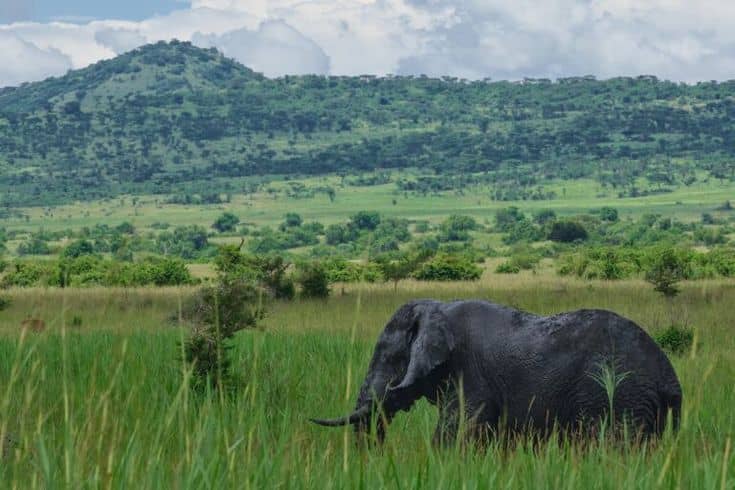 backpacker safari East Africa