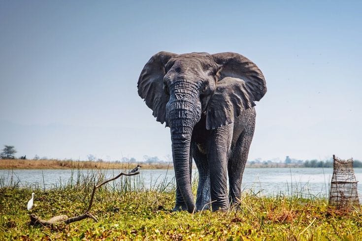 best value safari Africa