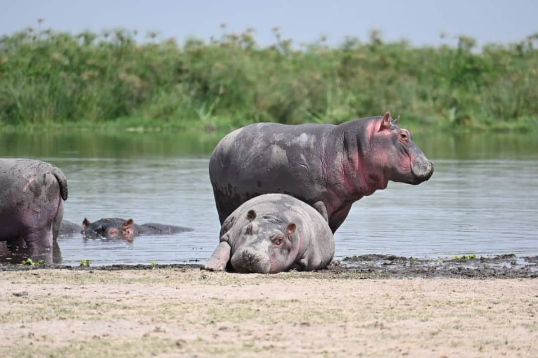 overland safari East Africa