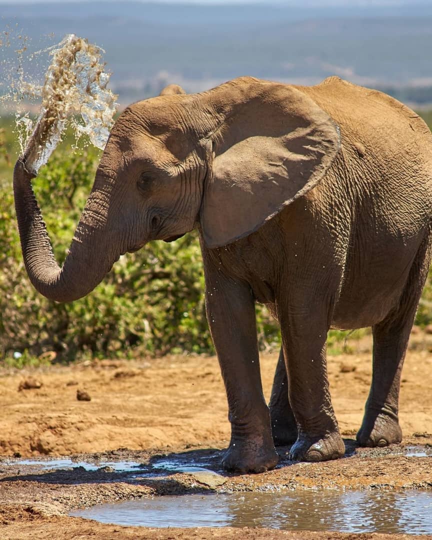 cheap safari accommodation
