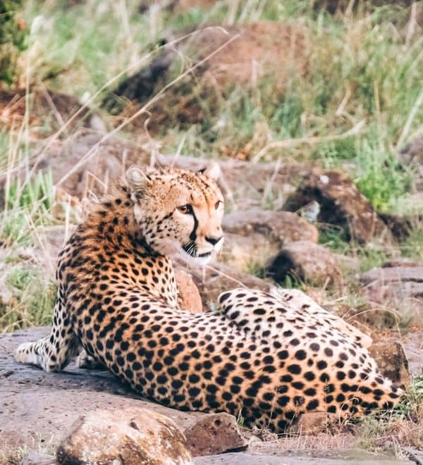 budget travel Africa