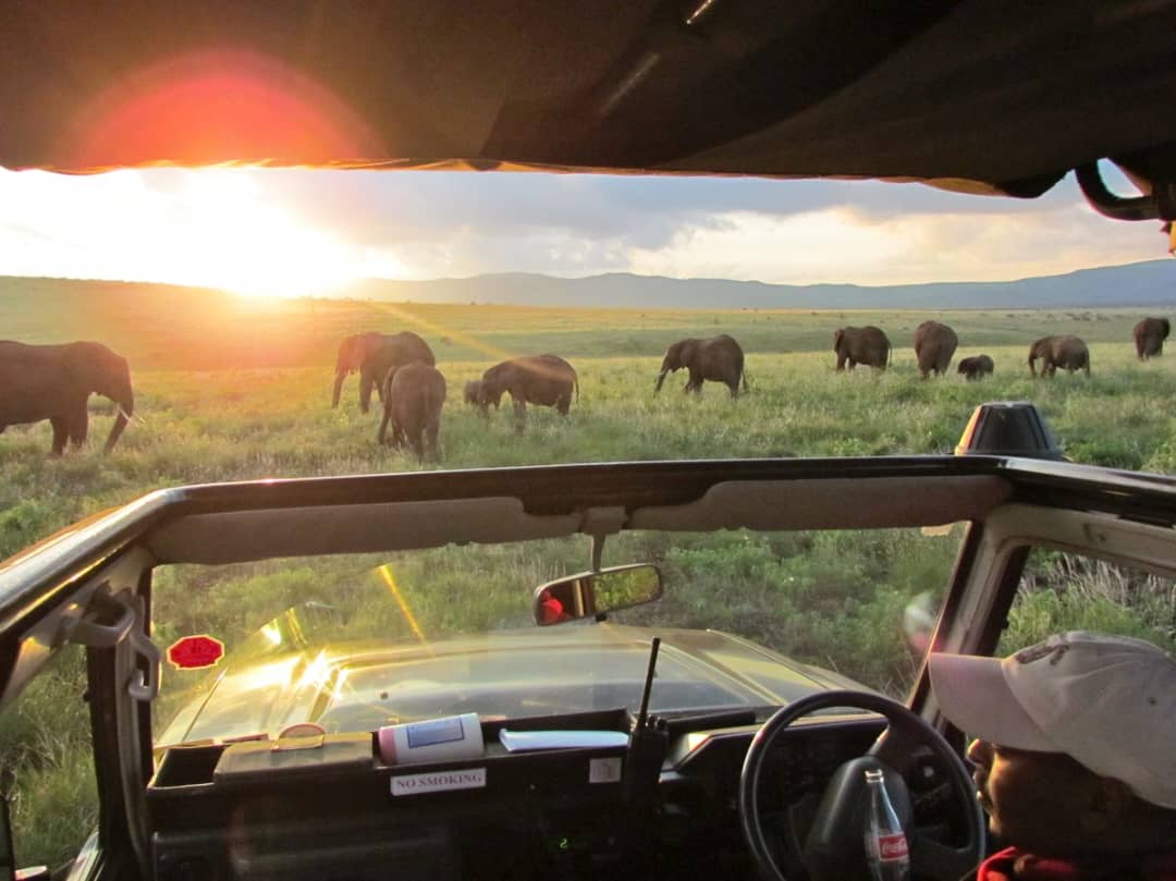 affordable Uganda safari packages
