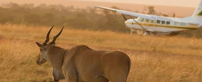 Why Choose a Flying Safari in Uganda