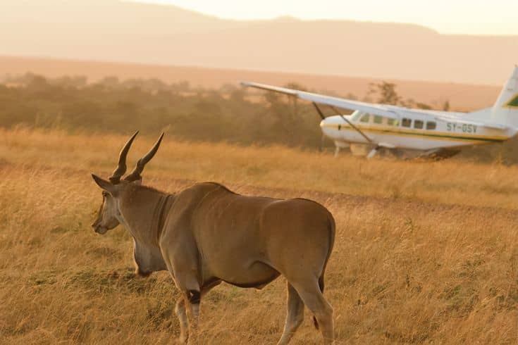 Why Choose a Flying Safari in Uganda