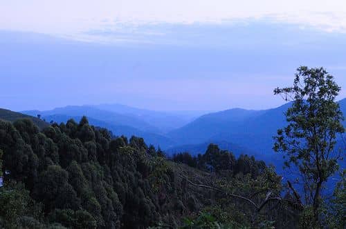 Flying Safari vs. Road Safari in Uganda: Which is Better?