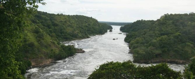 Fly-in Safari to Murchison Falls National Park