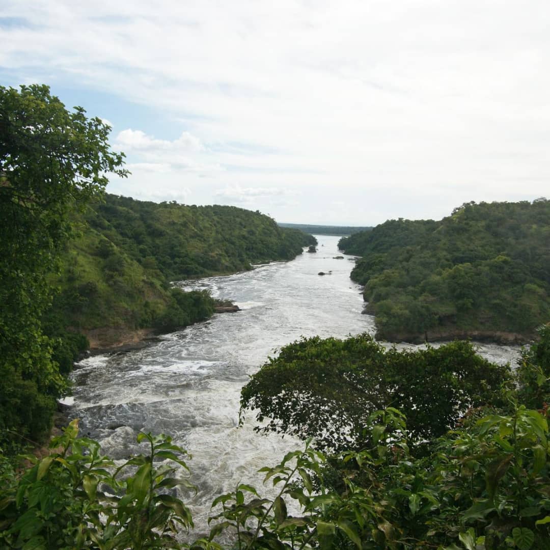 Fly-in Safari to Murchison Falls National Park